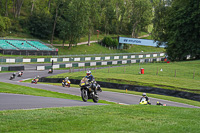 cadwell-no-limits-trackday;cadwell-park;cadwell-park-photographs;cadwell-trackday-photographs;enduro-digital-images;event-digital-images;eventdigitalimages;no-limits-trackdays;peter-wileman-photography;racing-digital-images;trackday-digital-images;trackday-photos
